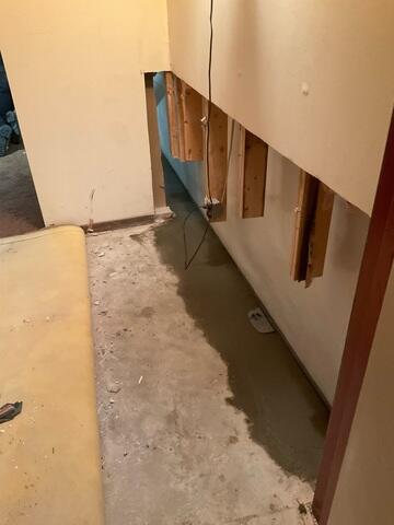 WaterGuard Drainage System