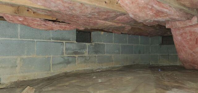 Crawlspace Before