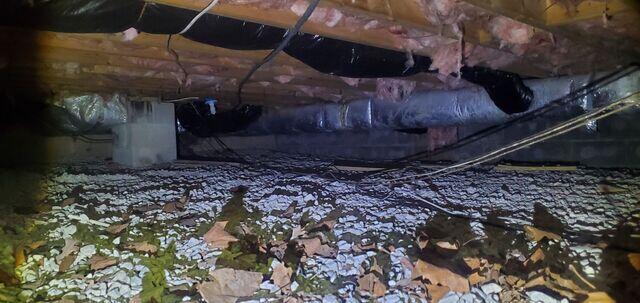 Damp Crawl Space