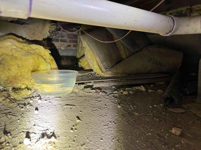 Damp Crawl Space