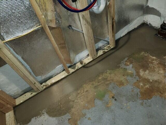 WaterGuard Drainage System