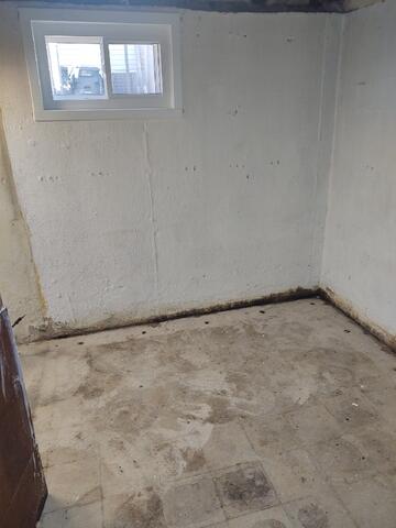 Damp Basement