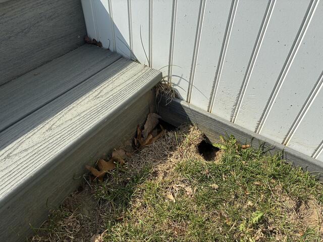 Found a Rat Burrow Here