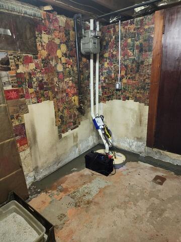 TripleSafe Sump Pump