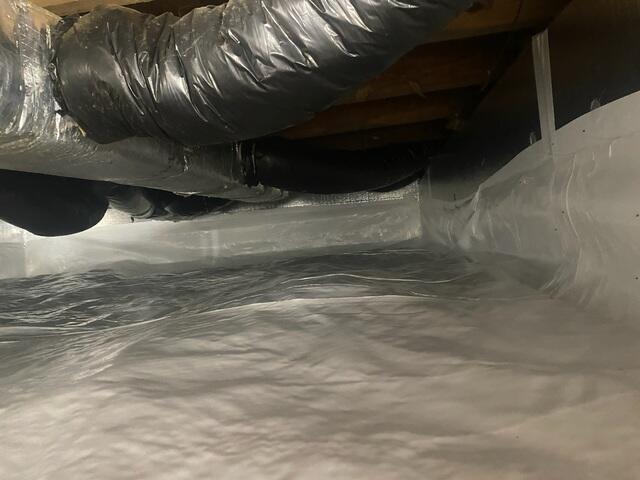 The Benefits Of CleanSpace