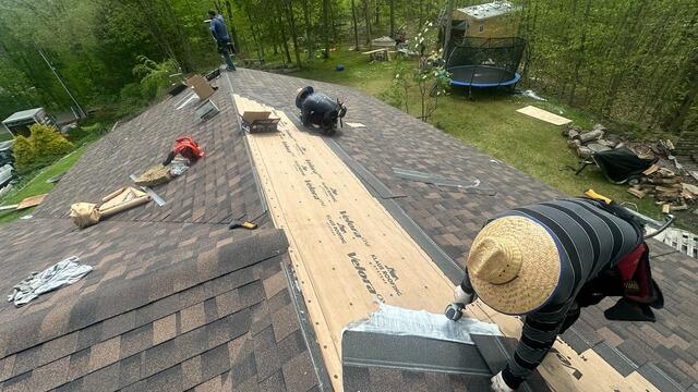 The New Shingles Go On