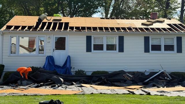 Bad Plywood Is Removed