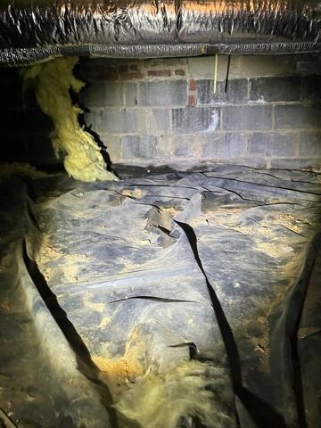 Crawl Space