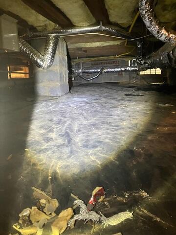 Damp Crawl Space