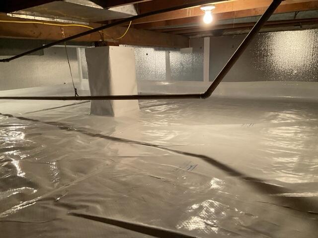 CleanSpace