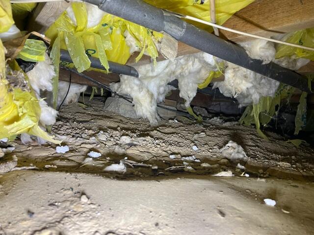 Damp Crawl space