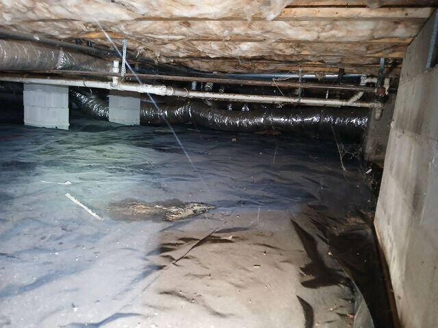 Crawl Space During Inspection