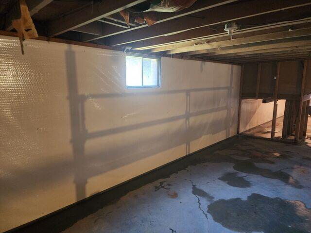 Fresh Basement