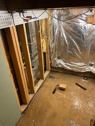 Damp Basement