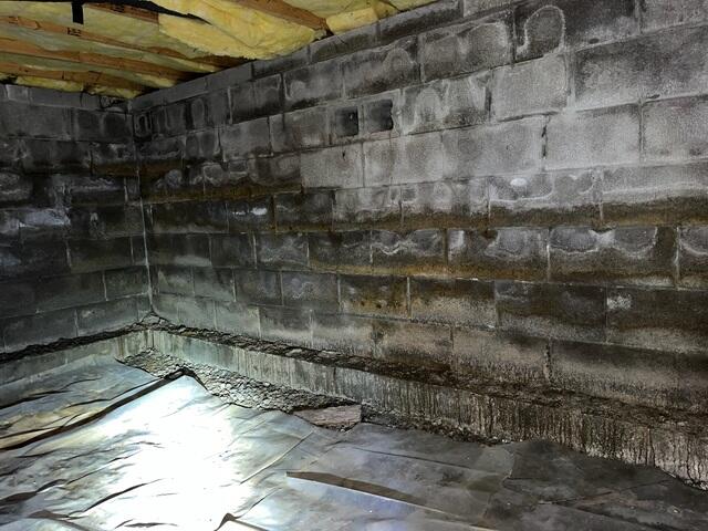 Moldy Crawl Space