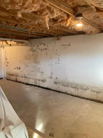 Damp Basement