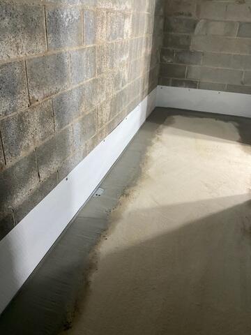 CleanSpace Wall Panels