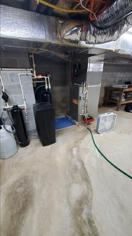 Damp Basement