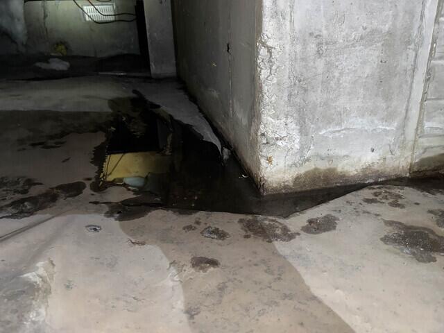 Standing Water