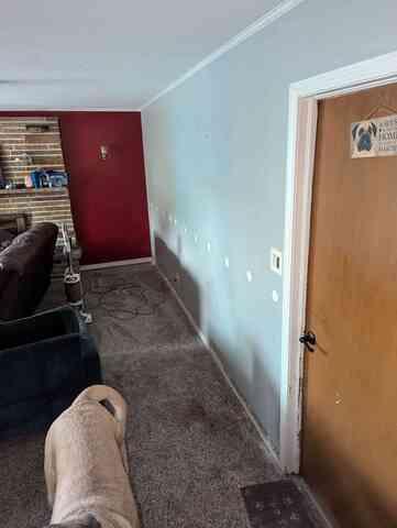 Interior Insulation