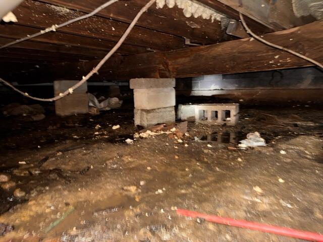 Damp Crawlspace