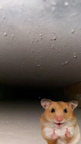 Duct Cleaning - Falls City, NE