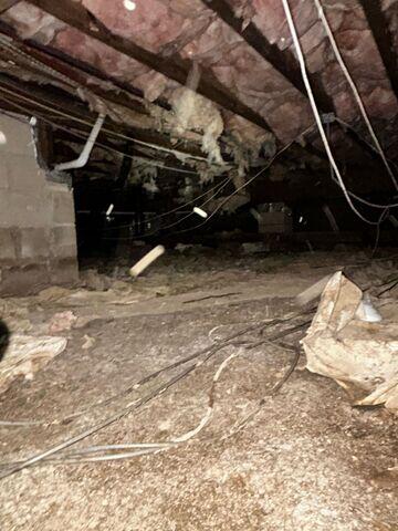 Damp, Musty Crawlspace