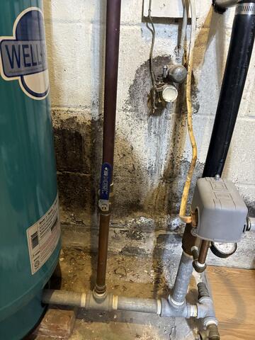 Lots of Mold Behind the Water Heater