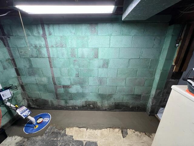 WaterGuard Drainage System
