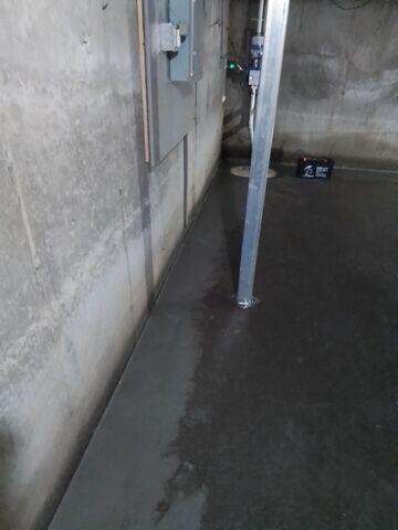 WaterGuard Drainage System
