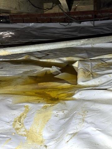 Wet Crawl Space