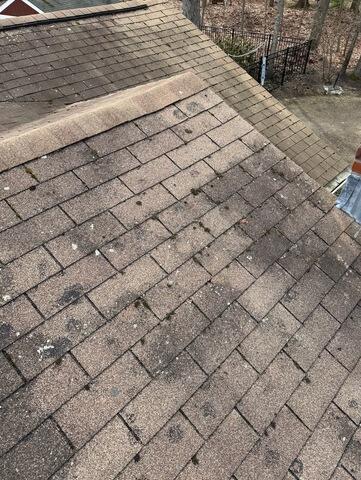 Before Roof Replacement