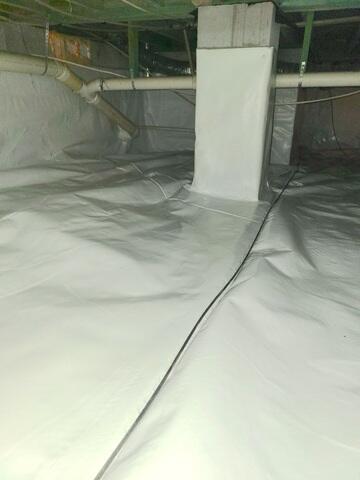 CleanSpace