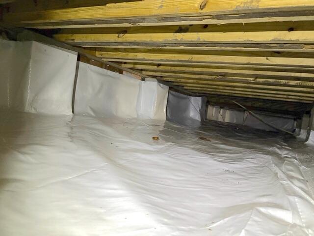 Floor Joist Repair