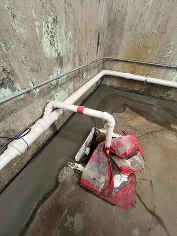 WaterGuard Integrated with Existing Sump Pump