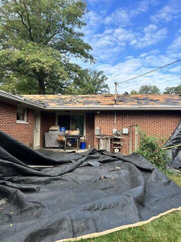 Tarp Protection