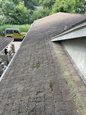 Existing Roof Algae