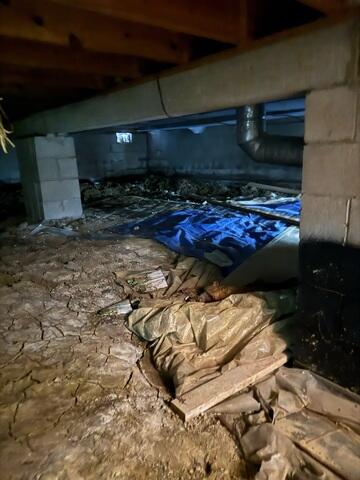Crawl Space Inspection