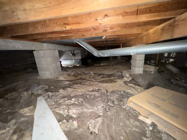 Musty Crawl Space