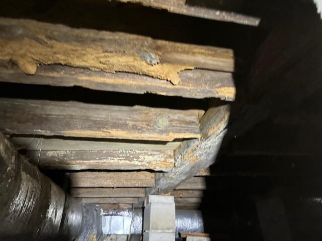 Joist and Main Beam Rot