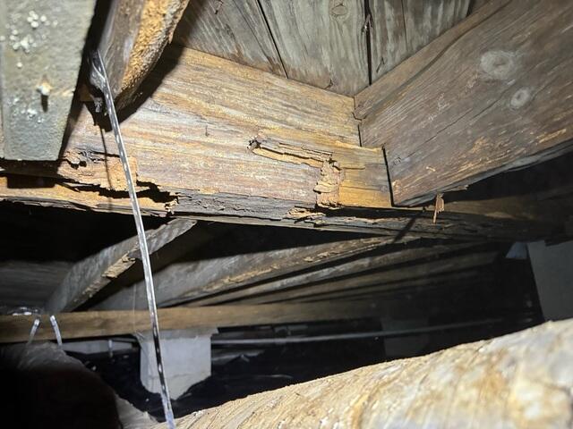 Main Beam Rot