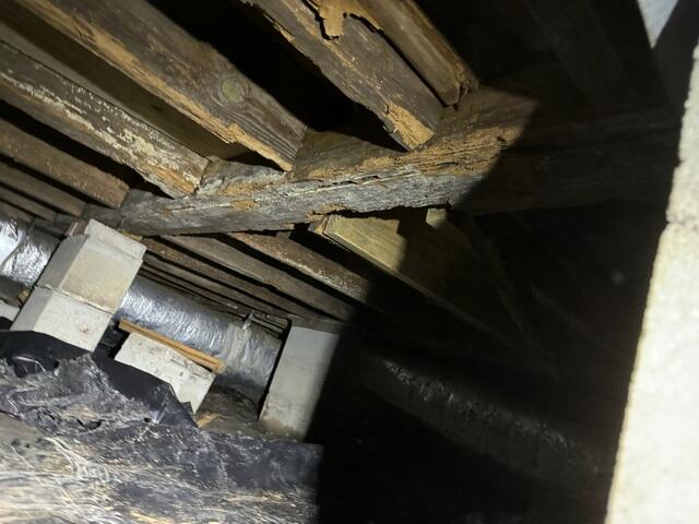 Main Beam Rot