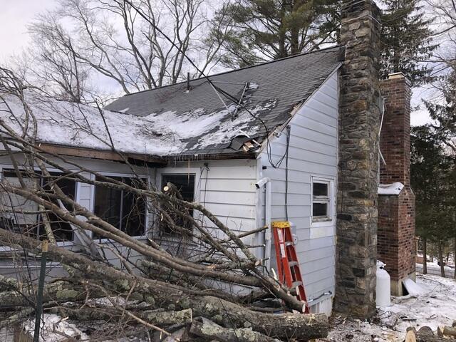 Fallen Tree Damage