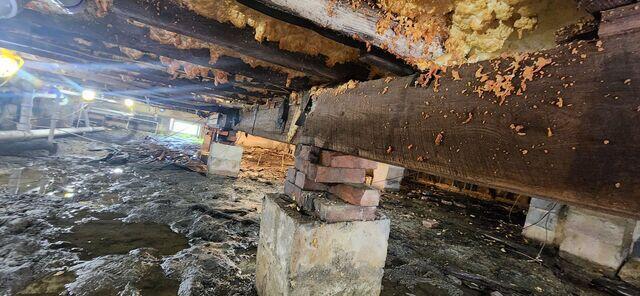 Muddy Crawl Space