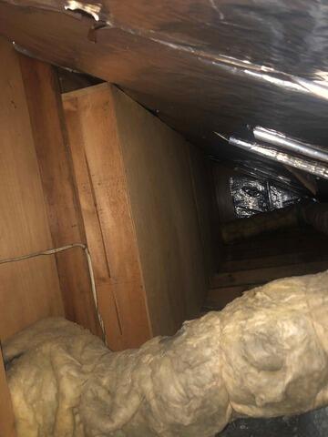 Old Insulation