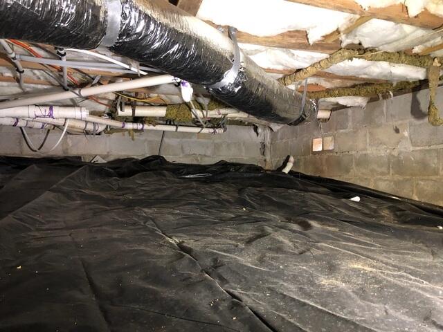 Before Encapsulation - Moisture Risk