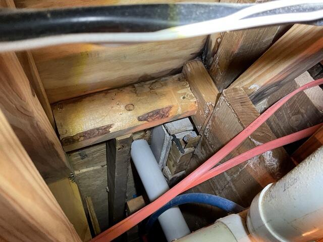 Wet Crawl Space Wood