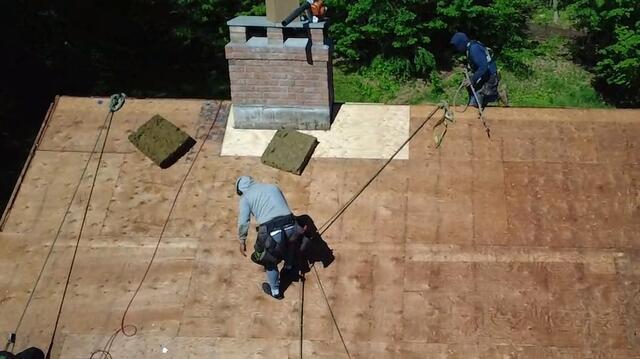 New Plywood Is Installed