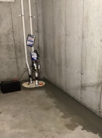 TripleSafe Sump Pump