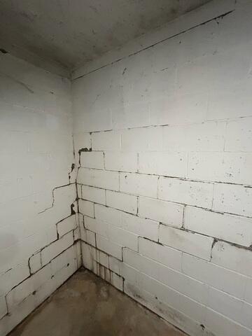 Basement During Inspection